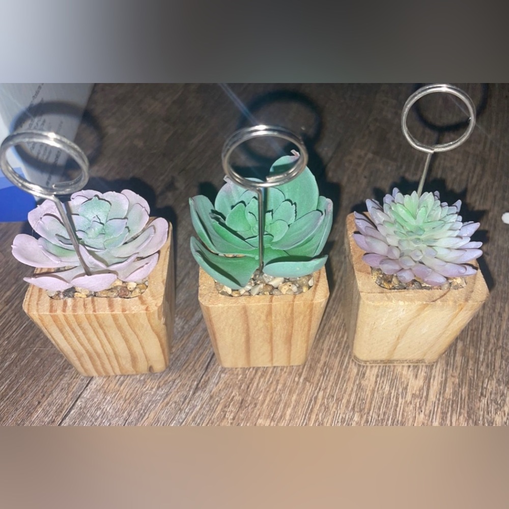 Succulent photo holder
